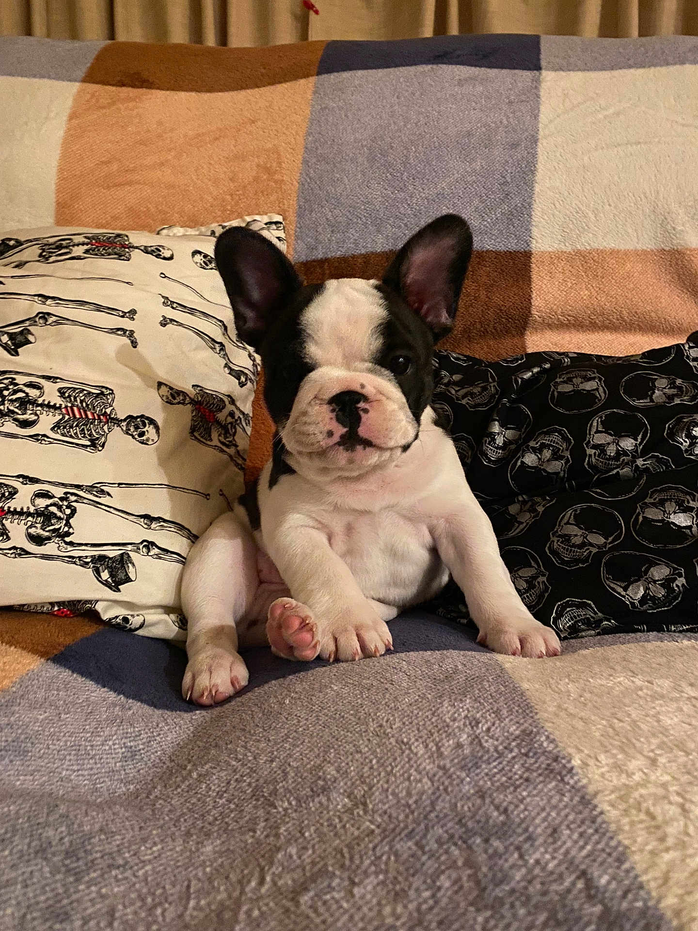 Maverick