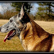 Unik participe au concours pour gagner de l'argent avec cette photo :
