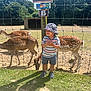 child, toddler, hat, bucket_hat, striped_shirt, shorts, sandals, deer, fence, grass, dirt, sunny, outdoor, animals, nature, park, smiling, daylight, trees, enclosure