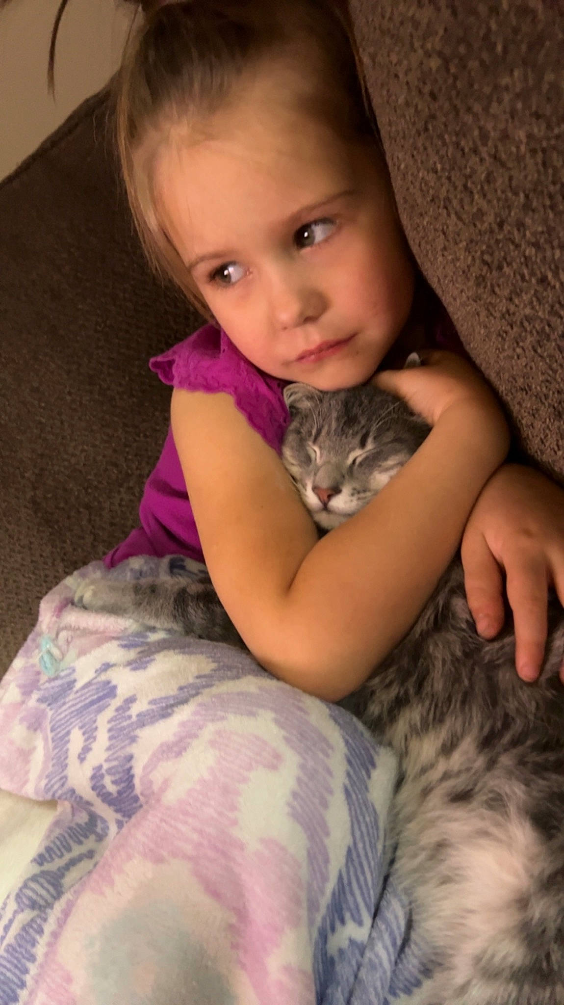 Davina joined the competition — help win amazing prizes! carnivore, cat, child, comfort, ear, eye, fawn, felidae, fur, gesture, iris, lap, long_hair, mammal, nail, person, skin, small_to_medium_sized_cats, textile, toddler