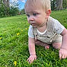 Bobby joined the competition — help win amazing prizes! blonde_hair, blue_eyes, casual_clothing, child, cloud, crawling, cute, dandelion, daylight, grass, greenery, nature, outdoor, park, person, sky, summer, toddler, tree, young_child