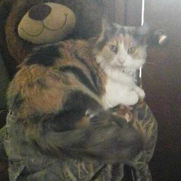 Tinkerbell is registered to the contest to win money with this photo: