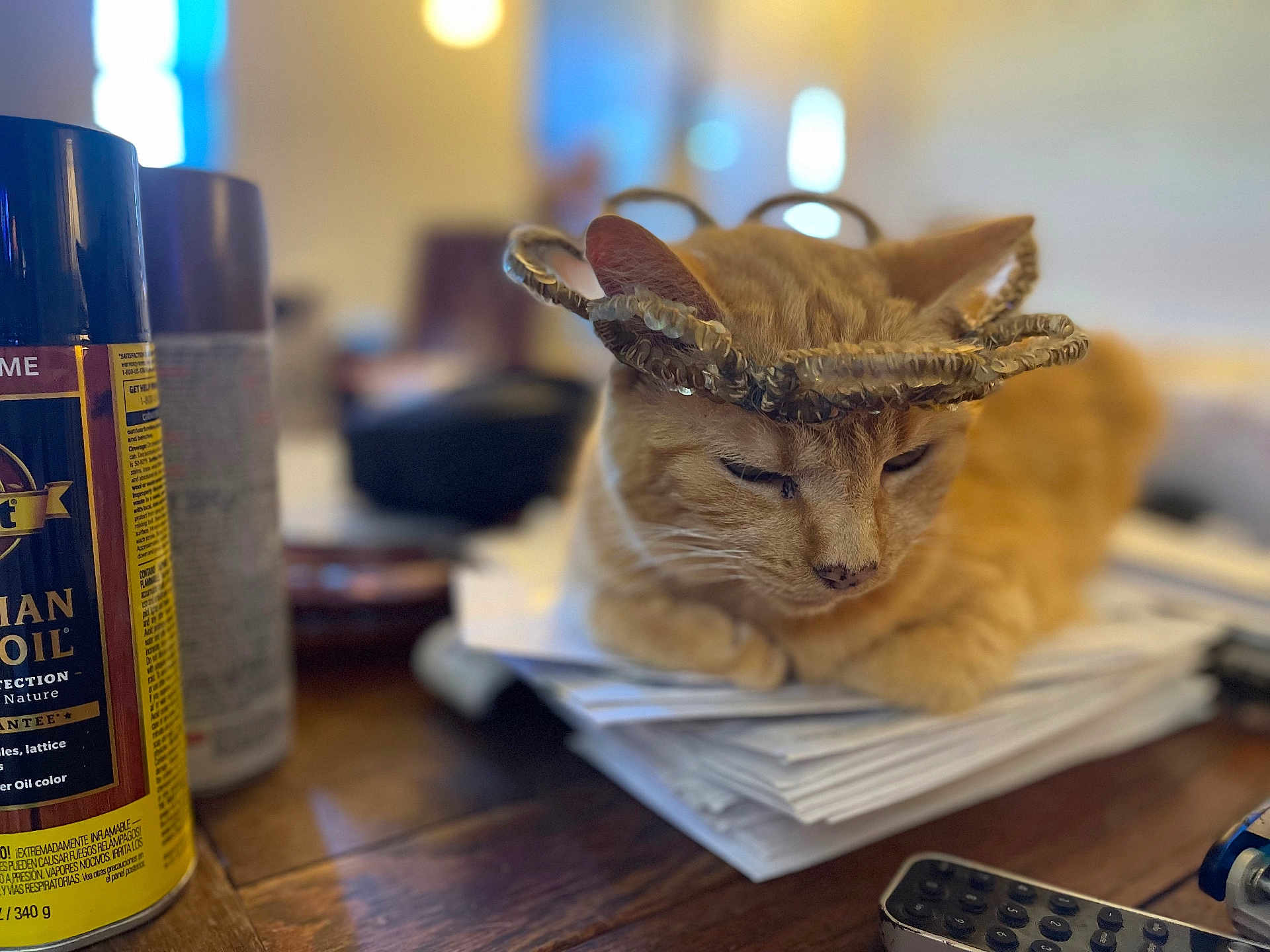 Ginger joined the competition — help win amazing prizes! cat, ginger_cat, pet, hat, stack_of_papers, table, wood_table, spray_can, can, remote_control, indoor, bokeh, shallow_depth_of_field, cozy, closeup, sleepy, domestic, accessory, blurred_background, living_room