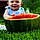 Asher