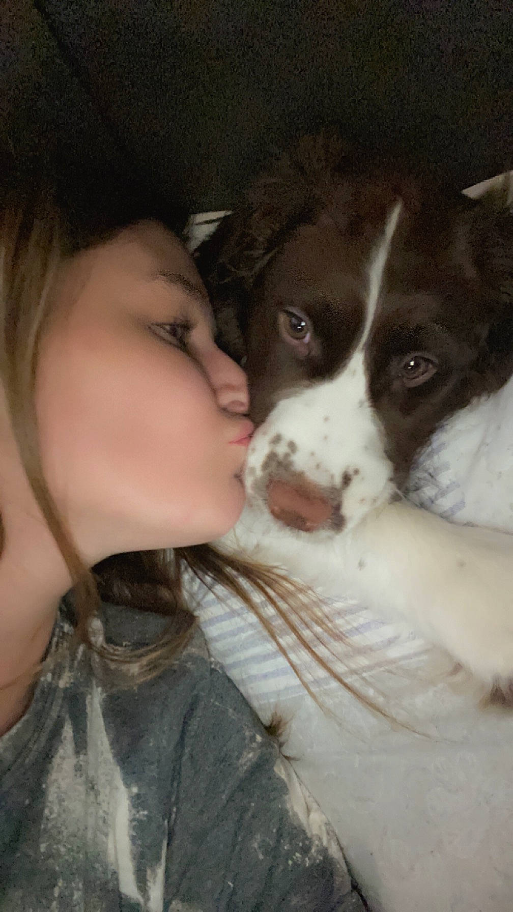 Bennett joined the competition — help win amazing prizes! canidae, carnivore, companion_dog, dog, dog_breed, ear, eyelash, fur, gesture, happy, herding_dog, jaw, kiss, love, nose, puppy_love, snout, sporting_group, whiskers, working_animal