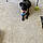 Cooper