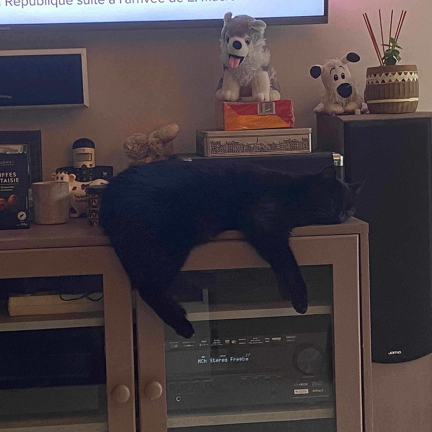 Olas participe au concours pour gagner de l'argent avec cette photo : animal, architecture, book, building, cat, computerhardware, electronics, entertainmentcenter, furniture, hardware, indoors, livingroom, monitor, pet, room, screen, shelf, speaker, toy, tv