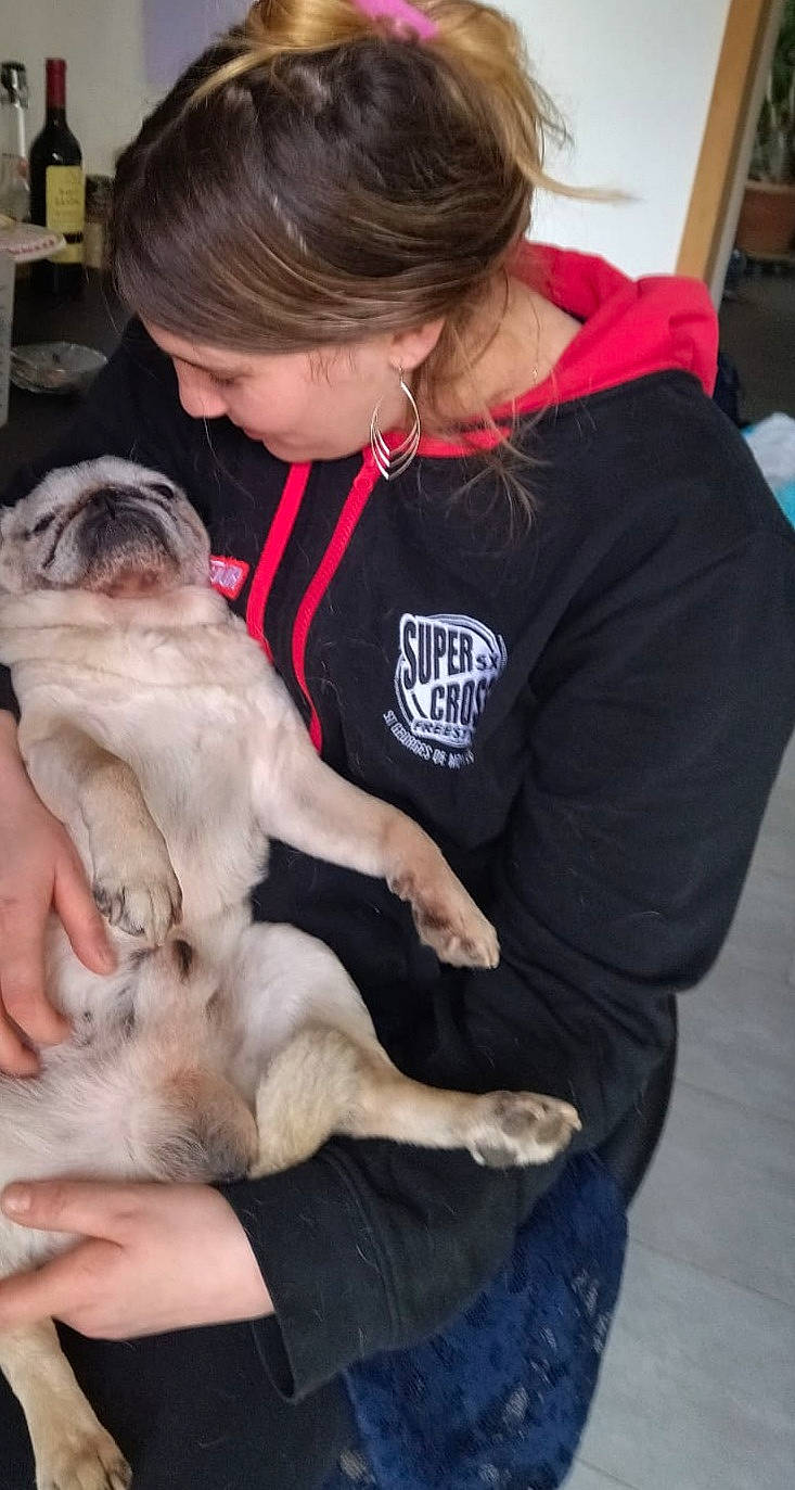 Bounty participe au concours pour gagner de l'argent avec cette photo : canidae, carnivore, child, comfort, companion_dog, dog, dog_breed, fawn, felidae, fur, non_sporting_group, paw, puppy_love, sitting, sporting_group