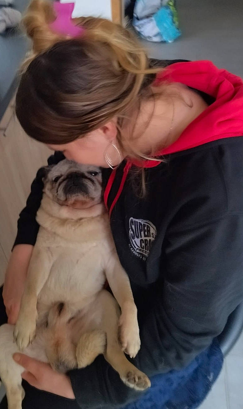 Bounty a rejoint le concours — aidez-le/la à gagner de superbes lots ! bulldog, canidae, carnivore, comfort, companion_dog, dog, dog_breed, event, fawn, fur, jewellery, non_sporting_group, paw, pug, puppy_love, sitting, snout, sporting_group, toy_dog, wrinkle