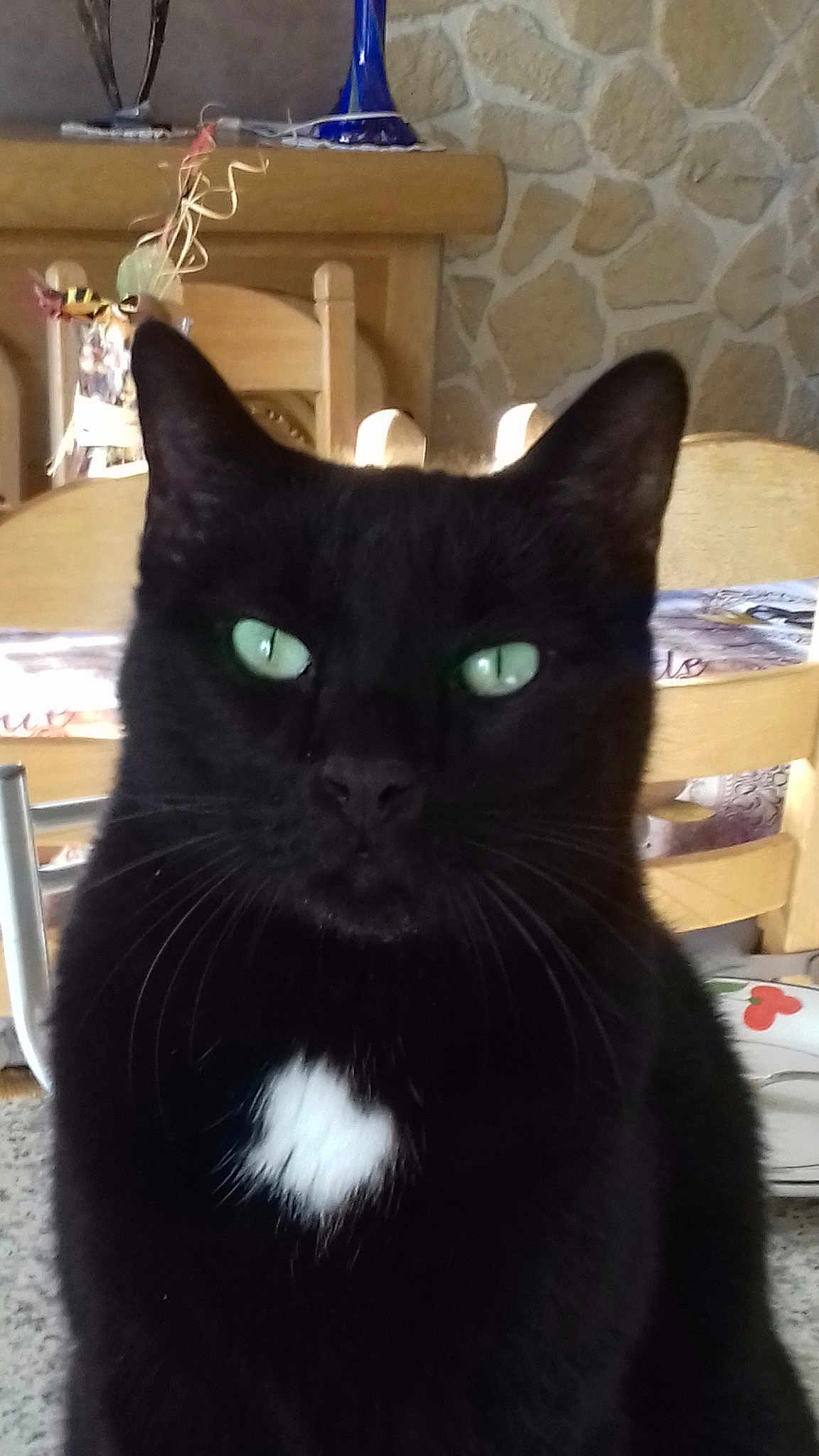 Figaro