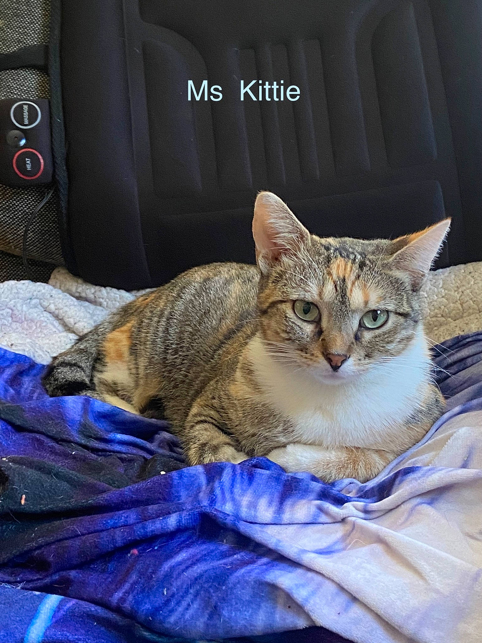 Ms Kittie