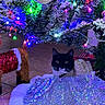 cat, christmas_tree, holiday_lights, reindeer_ornament, sparkly_tree_skirt, black_and_white_cat, festive, indoor, tile_floor, decorations, holiday_season, animal, pet, whiskers, cat_ears, christmas_decor, colorful_lights, festive_sweater, curious_cat, holiday_cheer