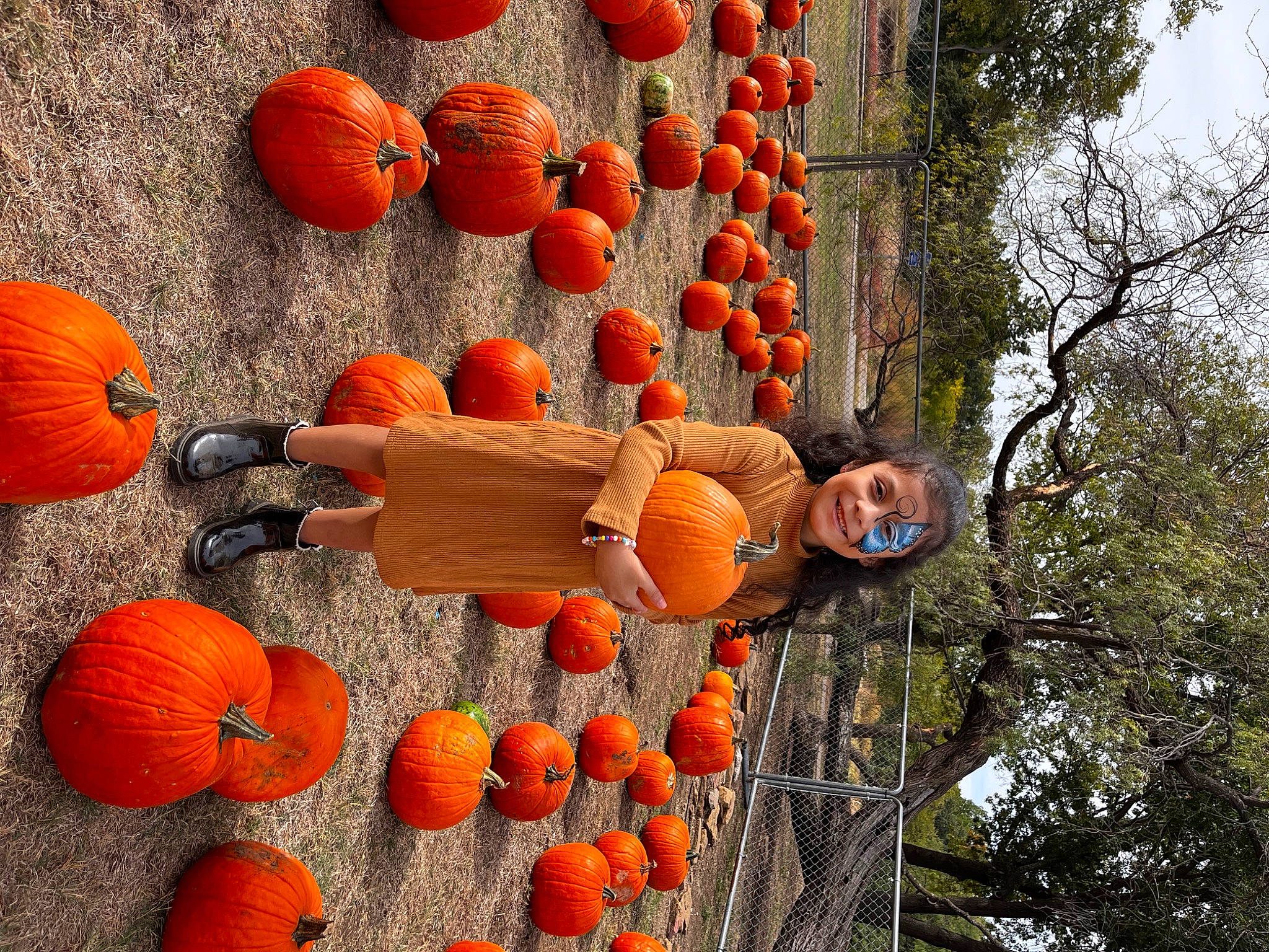 Alyaniz is registered to the contest to win money with this photo: art, autumn, calabaza, cucurbita, flowering_plant, food, fruit, gourd, joy, local_food, natural_foods, orange, person, plant, produce, pumpkin, sky, squash, tree, vegetable