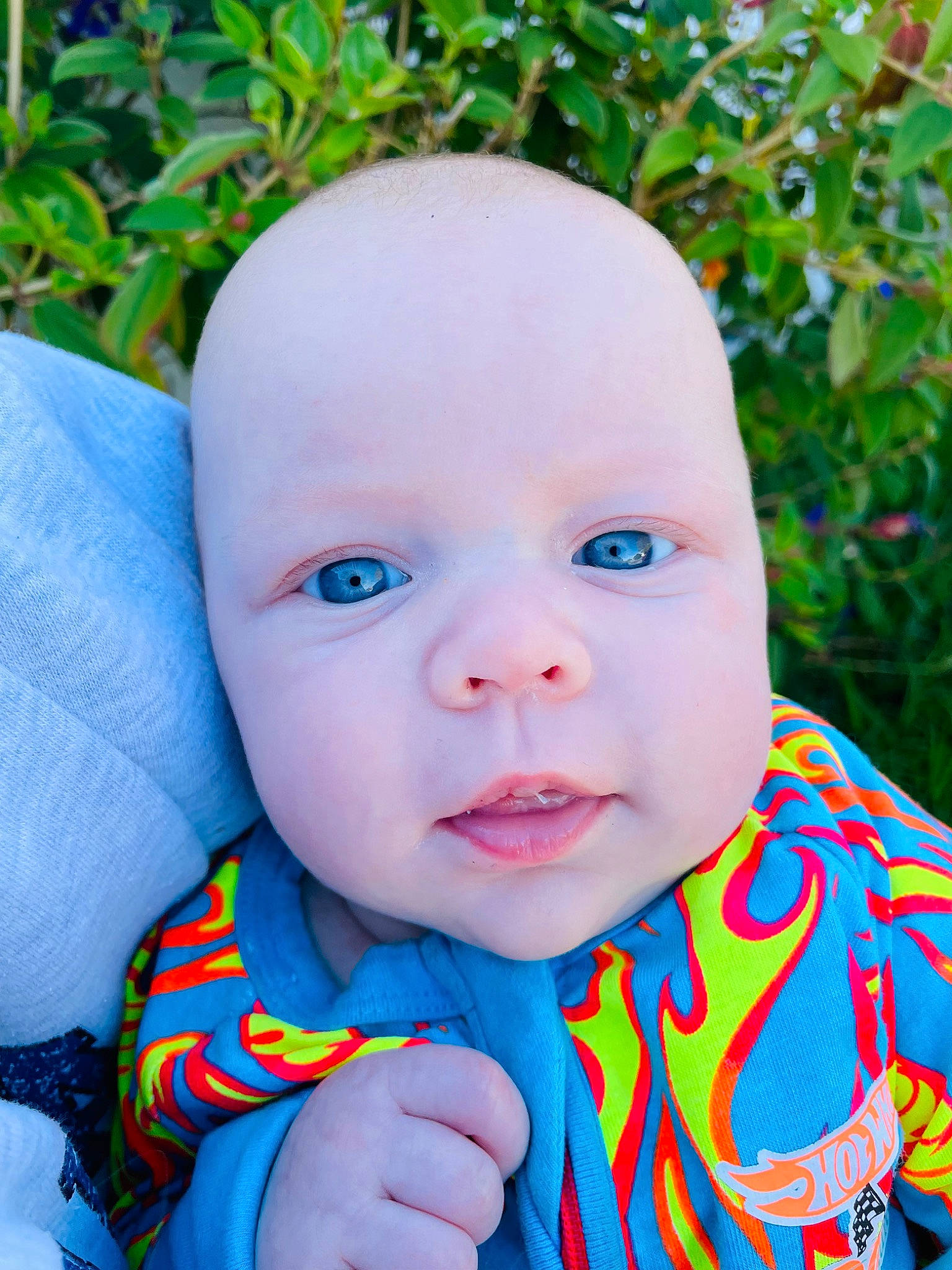 Leo joined the competition — help win amazing prizes! baby, baby_toddler_clothing, botany, cheek, child, electric_blue, eye, eyelash, fun, grass, happy, iris, lip, nose, people_in_nature, person, plant, portrait_photography, skin, thumb