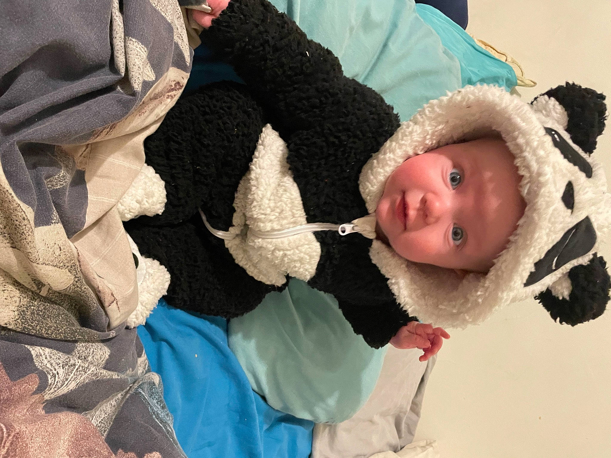 Leo joined the competition — help win amazing prizes! baby, baby_products, baby_sleeping, baby_toddler_clothing, beanie, cheek, child, comfort, freezing, fun, fur, happy, headwear, human_body, knit_cap, person, room, thread, toddler, winter