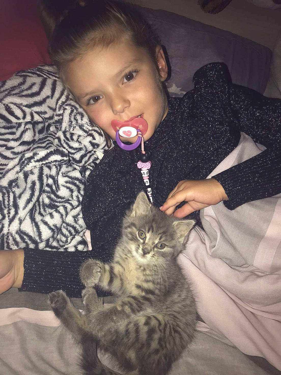 Rihanna a rejoint le concours — aidez-le/la à gagner de superbes lots ! american_shorthair, asian, carnivore, cat, child, domestic_short_haired_cat, ear, european_shorthair, eye, face, felidae, fur, head, iris, nose, pixie_bob, skin, small_to_medium_sized_cats, smile, whiskers