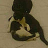 Bella participe au concours pour gagner de l'argent avec cette photo :