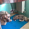 Tina participe au concours pour gagner de l'argent avec cette photo :