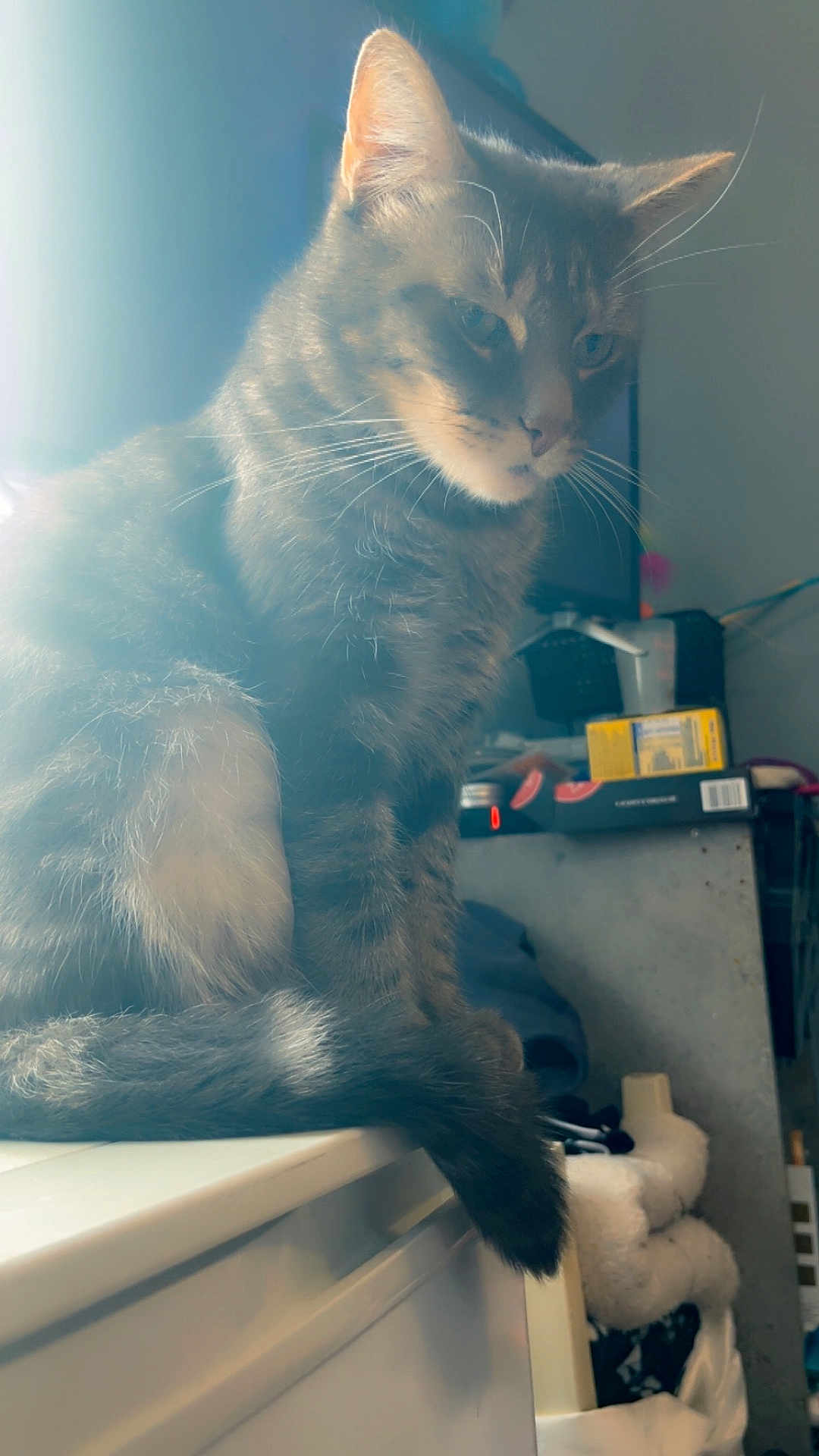 Taïro
