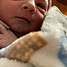 Lukas is registered to the contest to win money with this photo: newborn, baby, infant, face, blanket, hat, closeup, skin, sleepy, wrapped, soft, cozy, indoor, child, tiny, cute, portrait, person, newborn_hat, newborn_blanket
