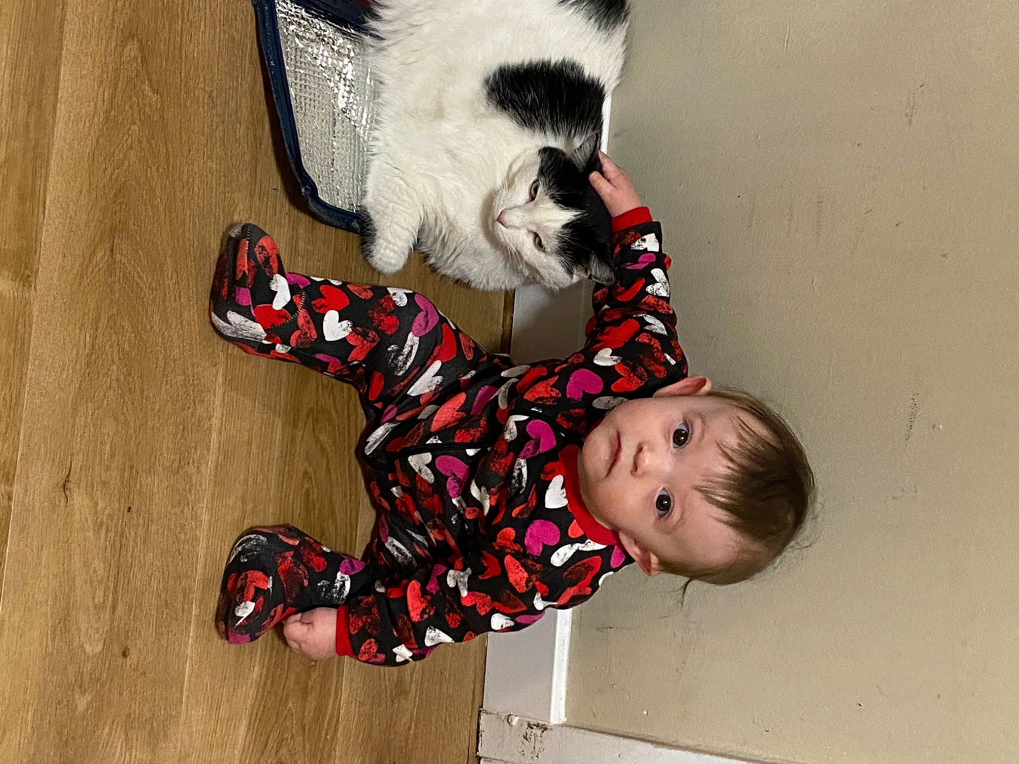 Amber a rejoint le concours — aidez-le/la à gagner de superbes lots ! baby, baby_toddler_clothing, carmine, child, companion_dog, eye, flooring, foot, fun, fur, happy, human_body, pattern, paw, person, sitting, smile, tail, toddler, tree