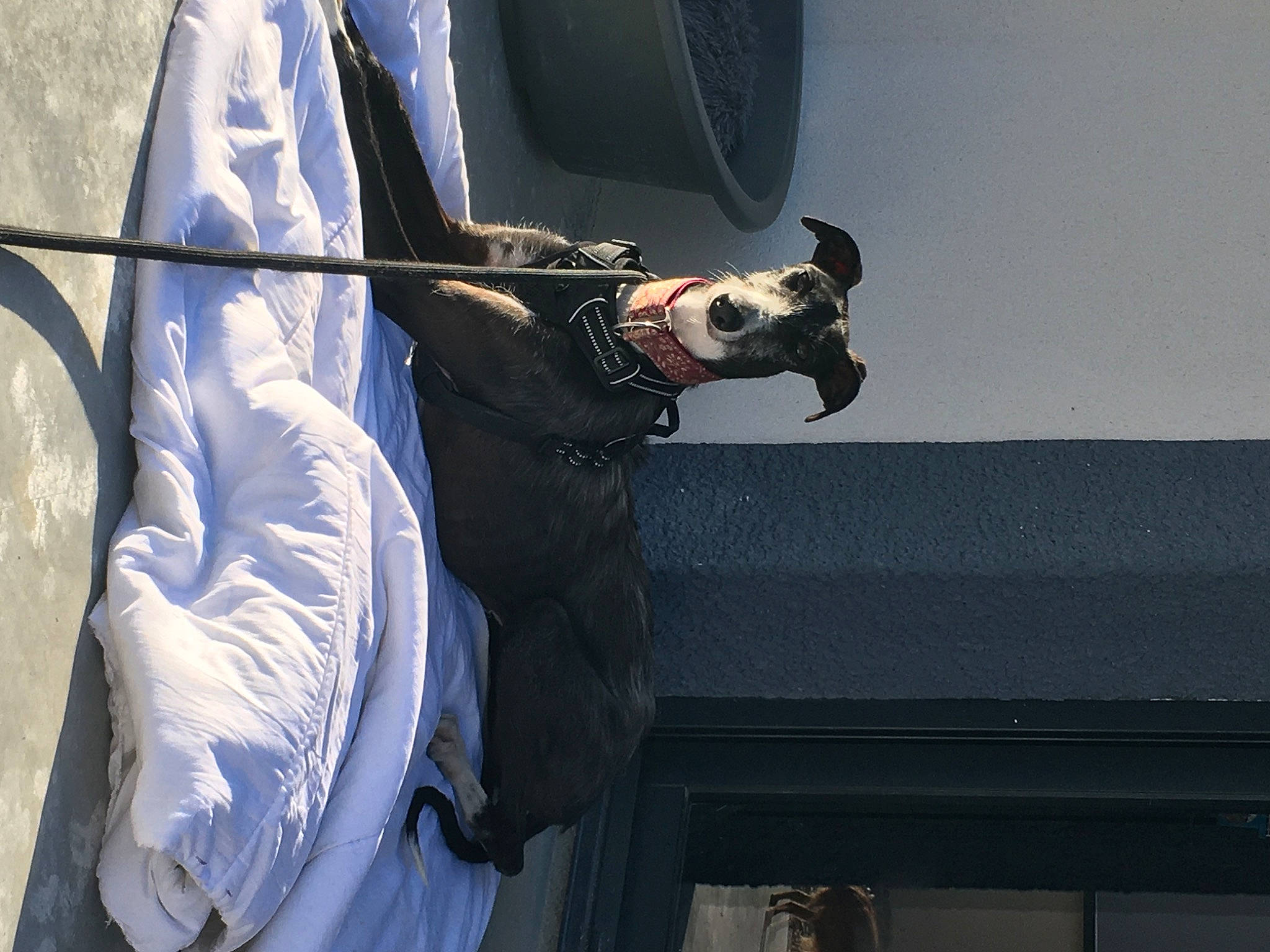 Nicosia a rejoint le concours — aidez-le/la à gagner de superbes lots ! audio_equipment, elbow, electric_blue, event, flag_of_the_united_states, fur, gesture, human_leg, knee, monument, performance, personal_protective_equipment, shadow, water