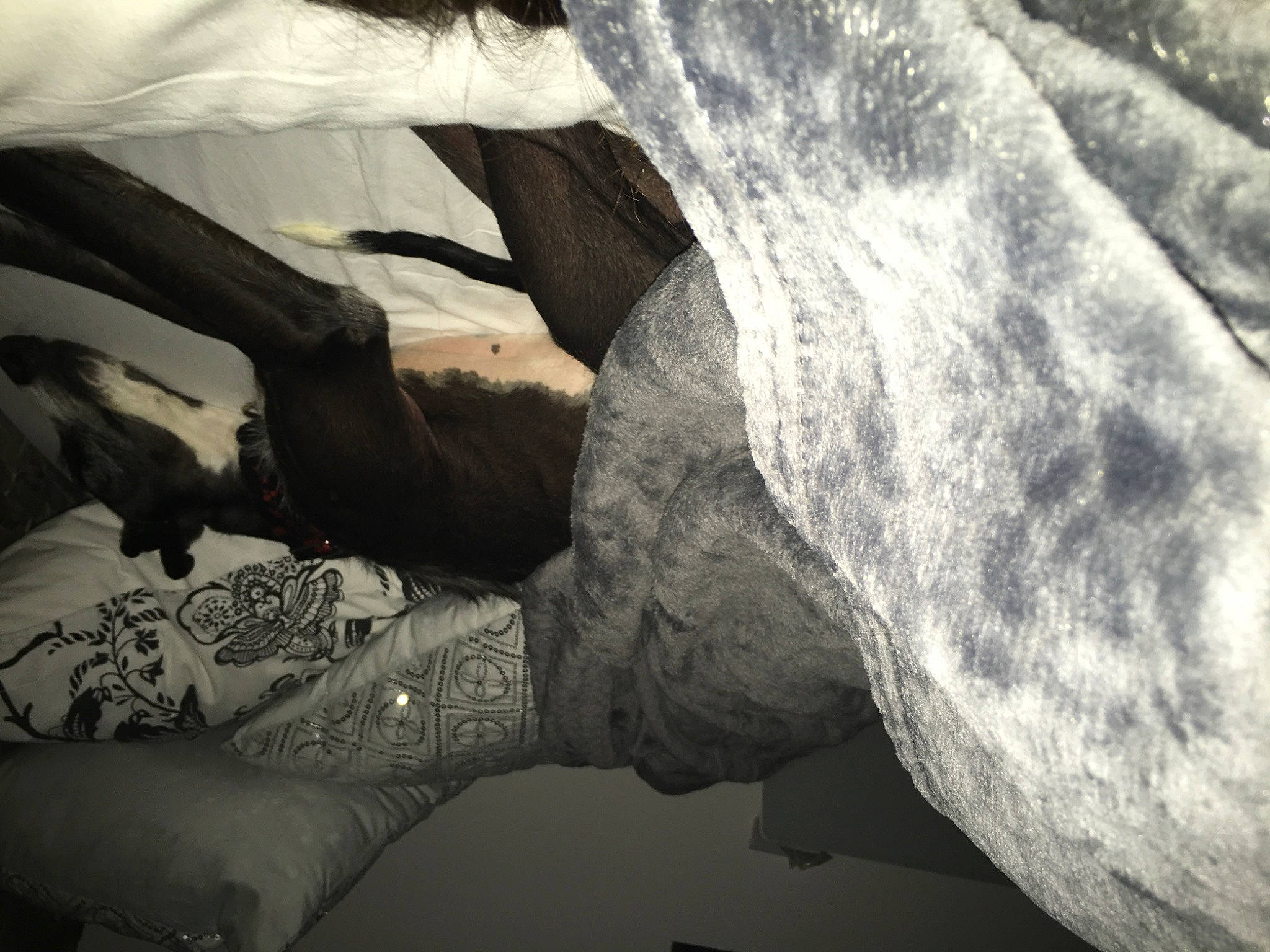 Nicosia participe au concours pour gagner de l'argent avec cette photo : art, bedrock, black_and_white, close_up, finger, formation, gesture, grey, human_leg, landscape, mammal, monochrome, monochrome_photography, organism, sculpture, style, textile, tints_and_shades, tree, wood