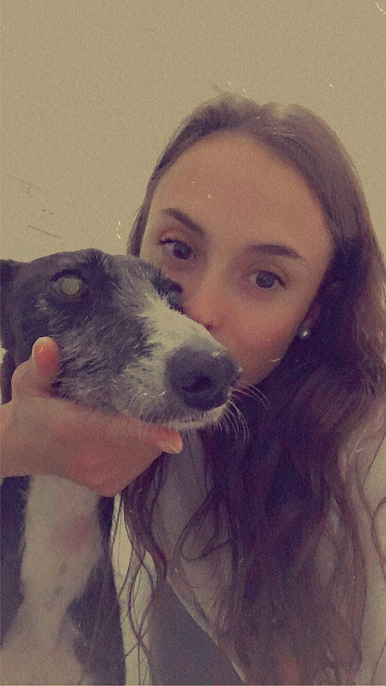 Nicosia a rejoint le concours — aidez-le/la à gagner de superbes lots ! beard, carnivore, comfort, companion_dog, dog, dog_breed, ear, eyelash, fawn, gesture, happy, head, jaw, neck, nose, selfie, skin, snout, whiskers, working_animal