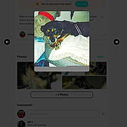 Baliee is registered to the contest to win money with this photo: black_dog, blanket, brown_dog, canine, closeup, comfortable, cozy, cushion, dog, domestic_animal, fur, household, indoor, pet, pillow, relaxation, resting, sleep, sleeping, small_dog