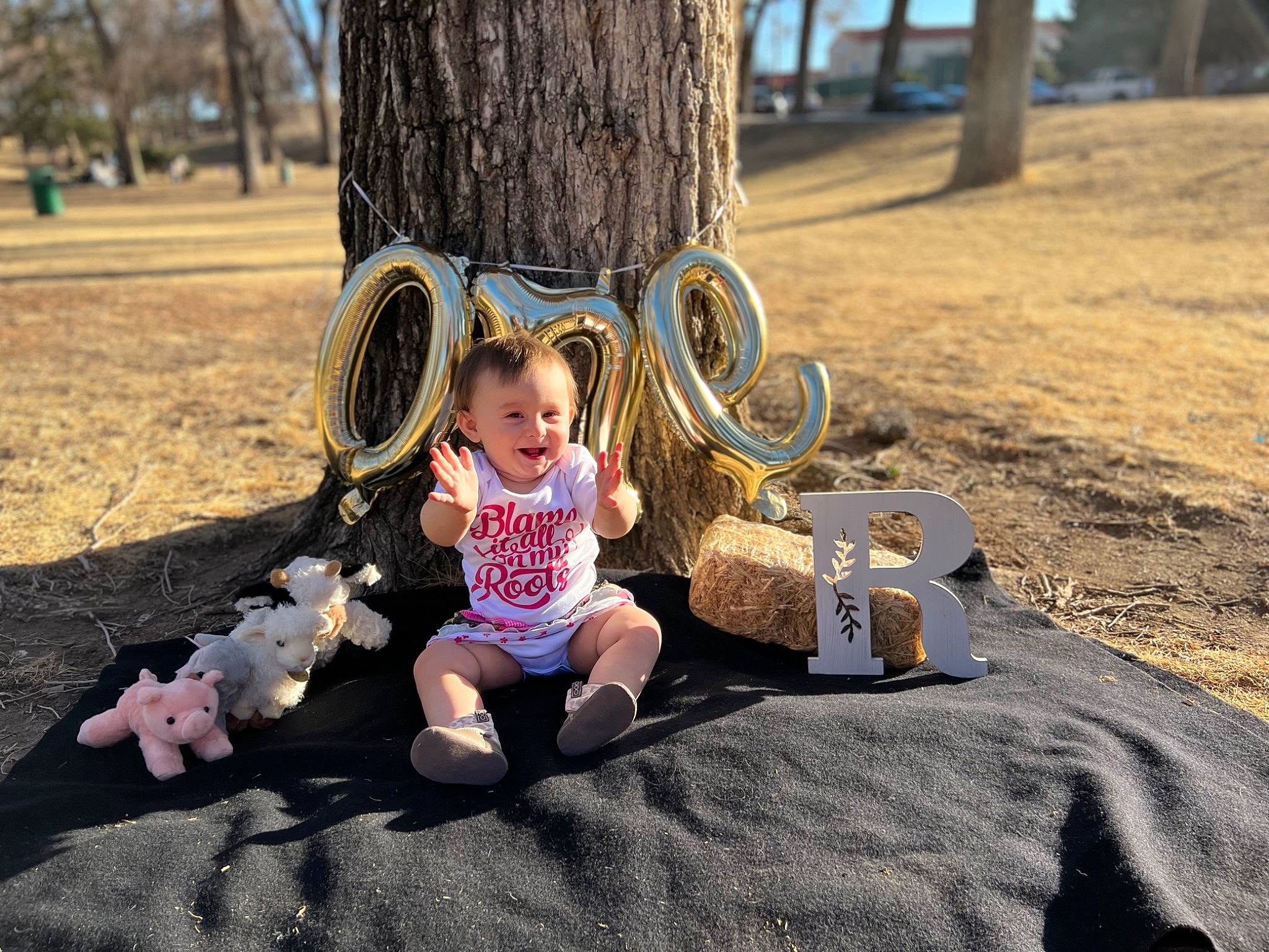 Renee is registered to the contest to win money with this photo: bench, child, fun, glasses, grass, hairstyle, happy, head, human_body, joy, leaf, leg, leisure, morning, nature, people_in_nature, person, plant, sunlight, toddler