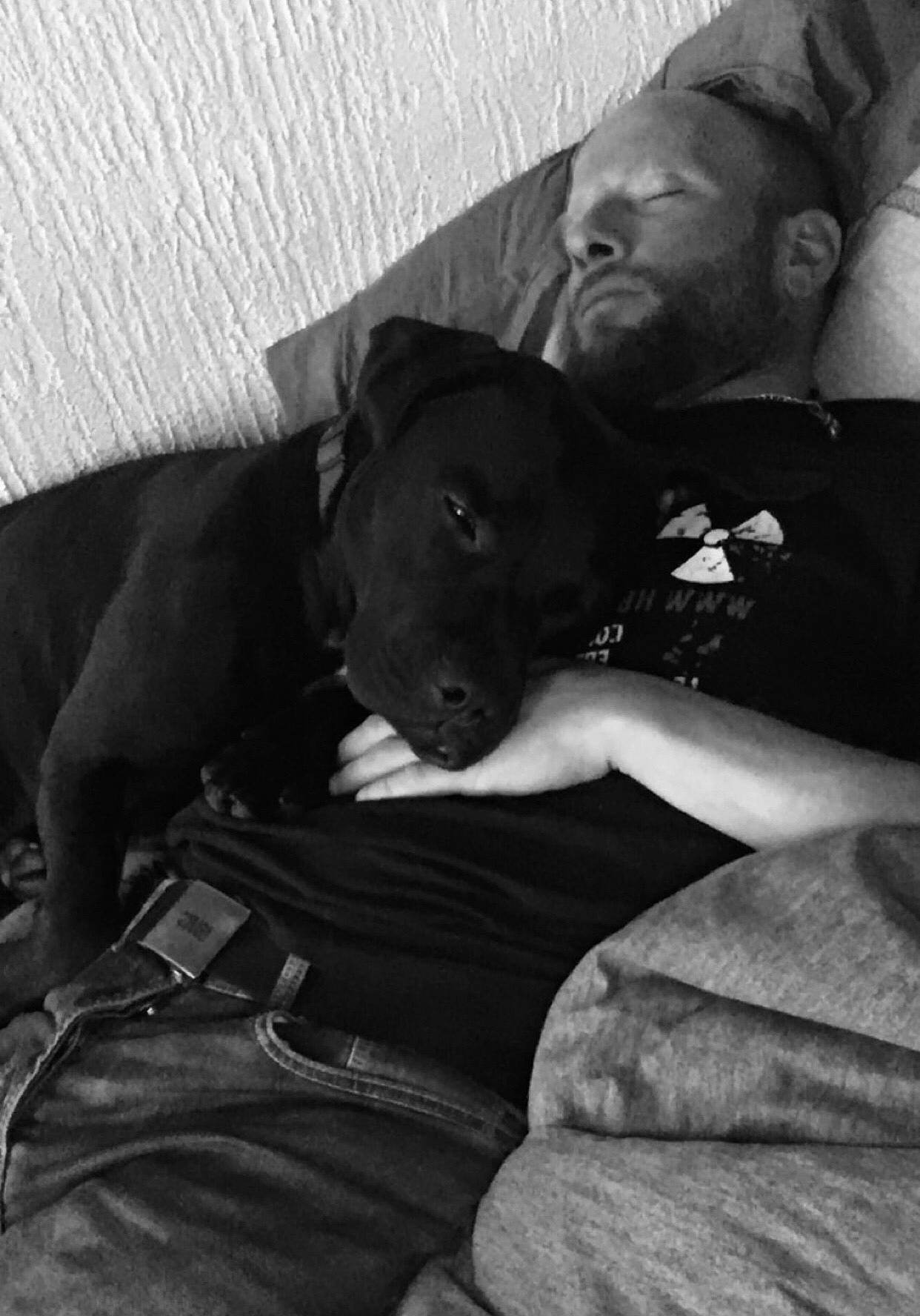 Rox a rejoint le concours — aidez-le/la à gagner de superbes lots ! black, canidae, carnivore, companion_dog, dog, dog_breed, guard_dog, non_sporting_group, puppy, snout, sporting_group