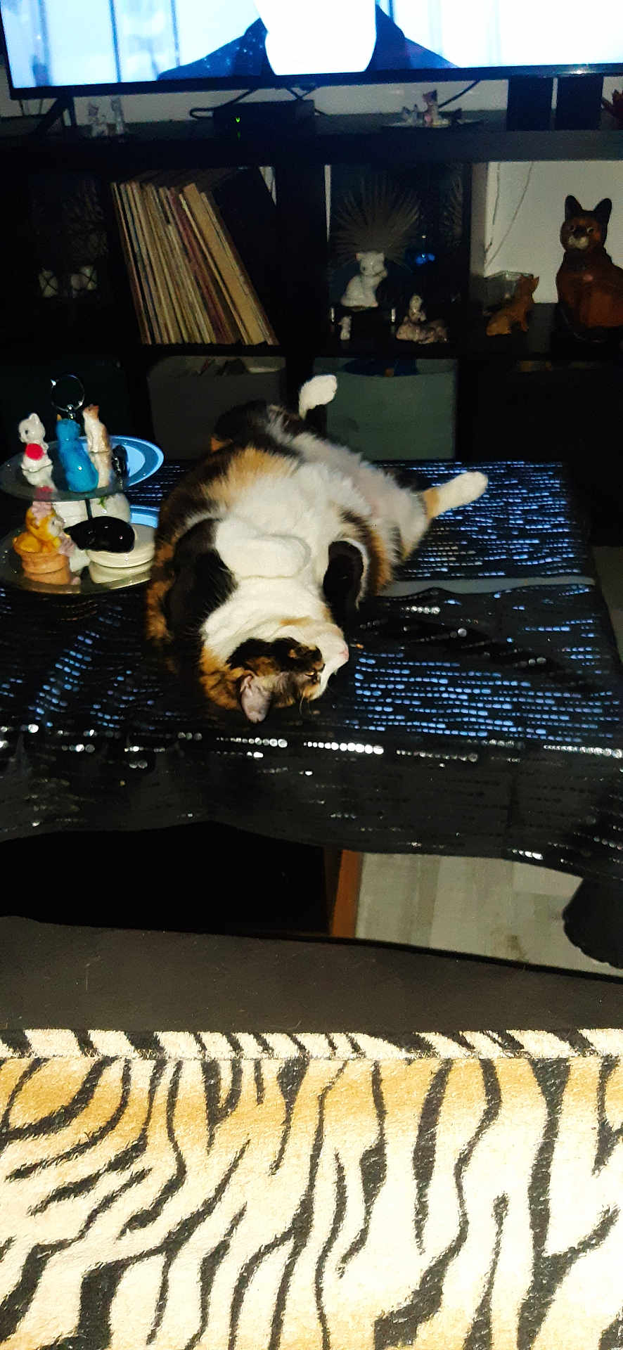 Laurence Dupuy a rejoint le concours — aidez-le/la à gagner de superbes lots ! animal, black, calico_cat, cat, cozy, decor, feline, figurines, furniture, home, indoor, lying_down, pet, relaxing, sequin_tablecloth, shelf, table, tv_screen, upside_down, zebra_pattern
