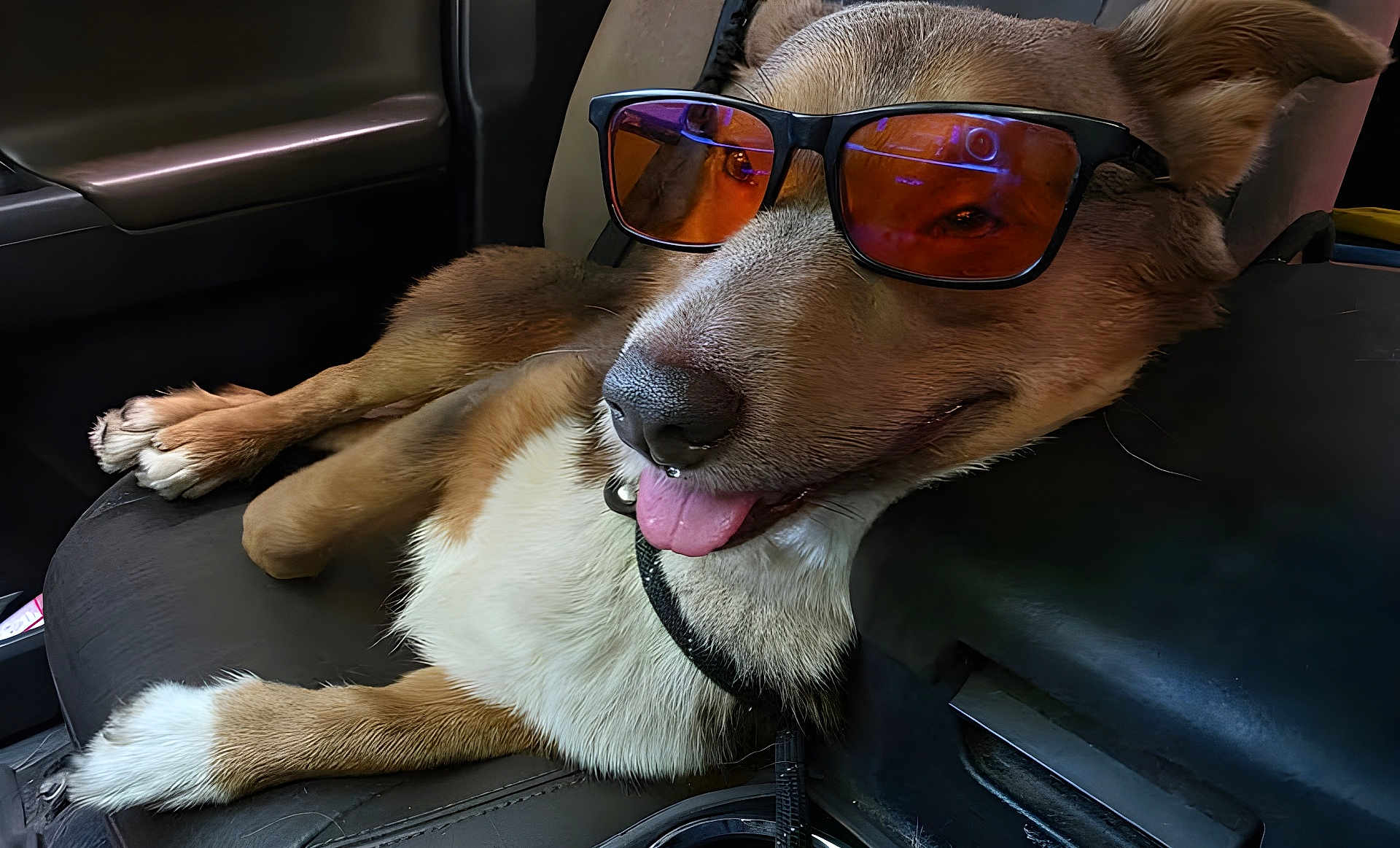 Mr. Bentley Wilcox