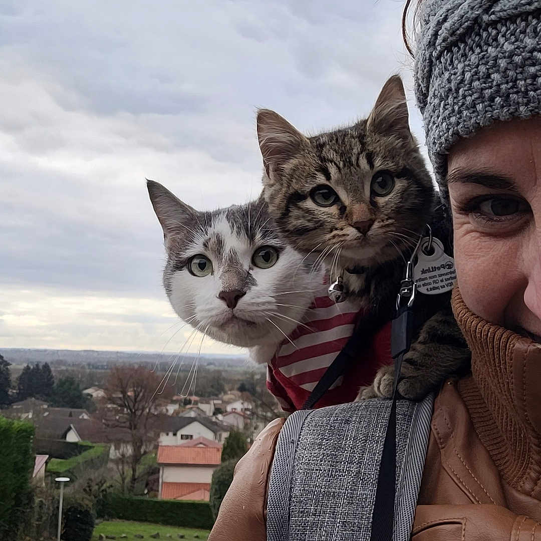 Yuko Et Moogly
