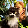 cat, person, red_hair, yellow_eyes, fluffy_fur, black_and_white, green_leaves, outdoor, wooden_surface, plant, nature, close_up, whiskers, pet, portrait, feline, sunlight, face, paw, ear