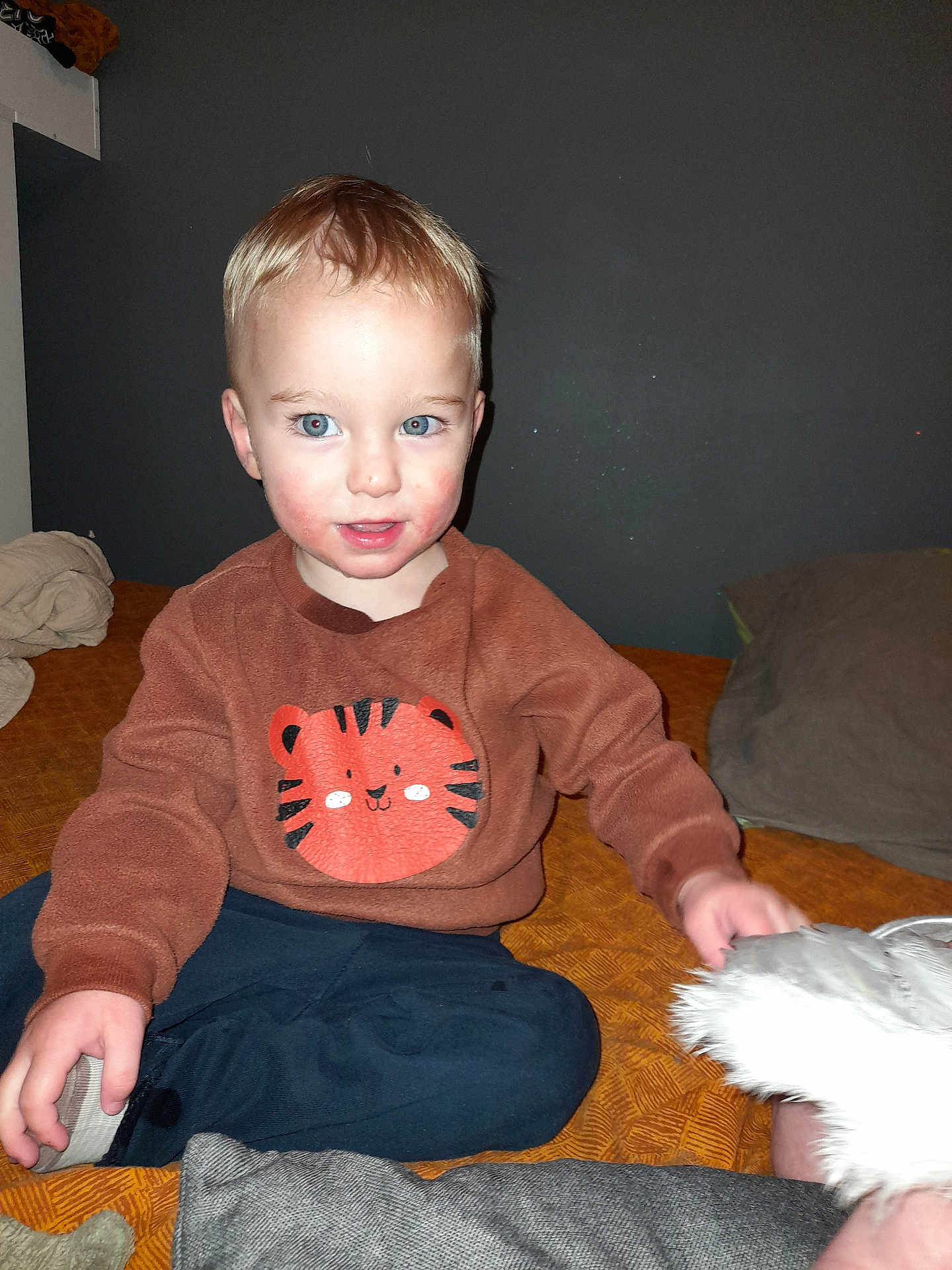 Liam participe au concours pour gagner de l'argent avec cette photo : toddler, child, boy, blue_eyes, brown_sweatshirt, tiger_print, sitting, bed, orange_bedspread, pillow, indoor, casual_clothing, young_child, cute, portrait, hand, face, expression, room, cozy