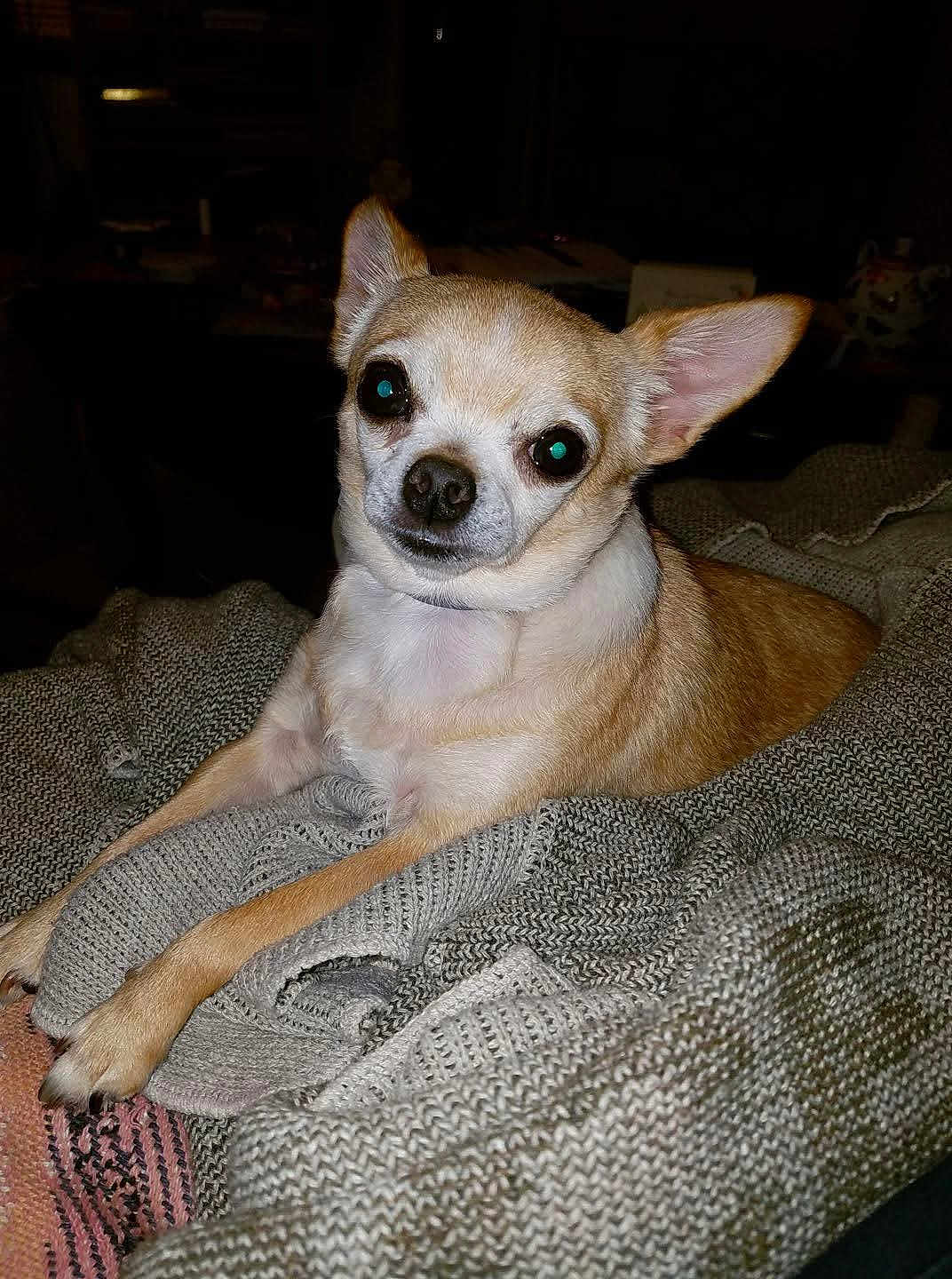 Corky