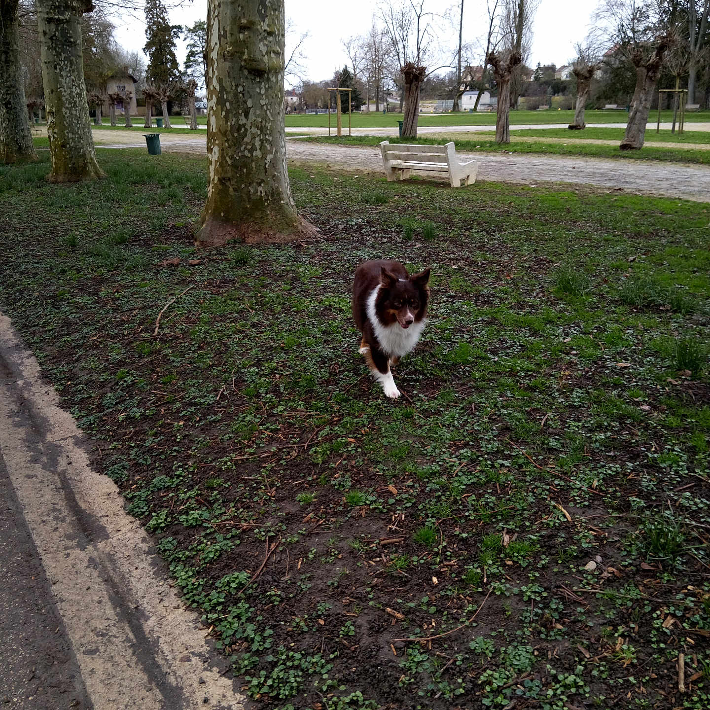 Sultan