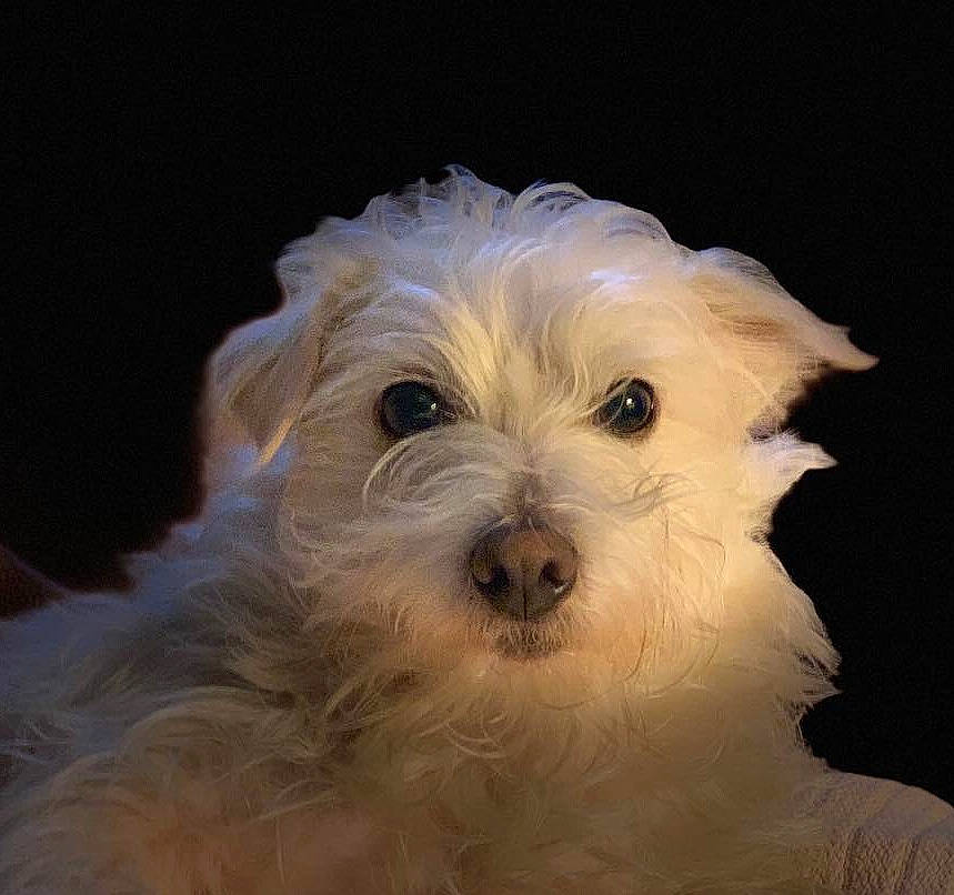 Jackson