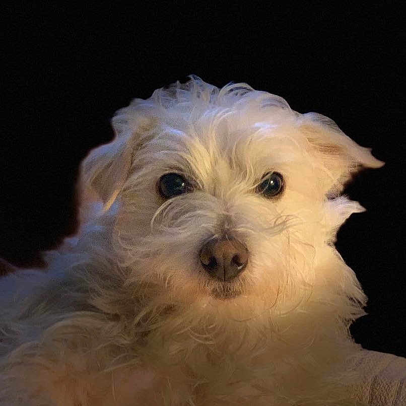 Jackson