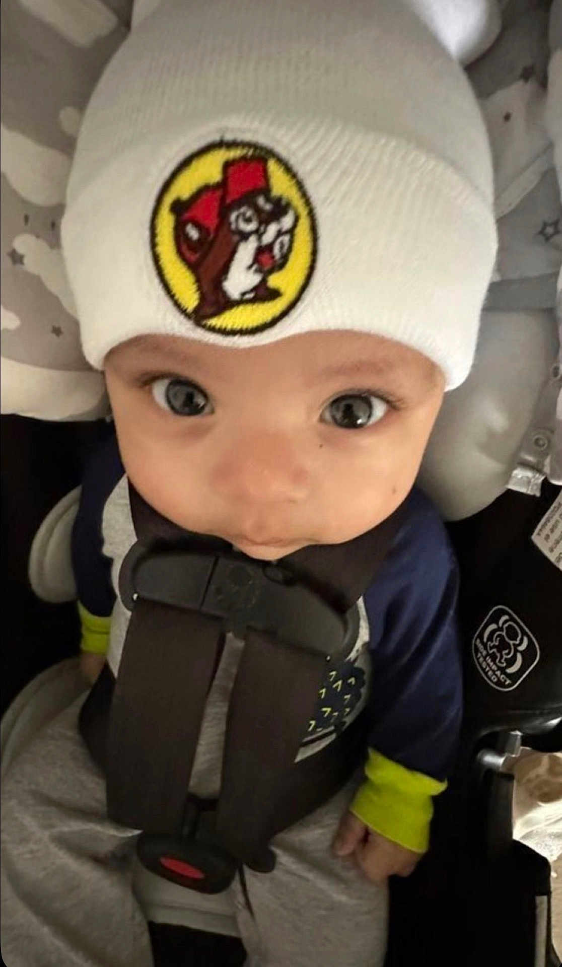 Lenzo joined the competition — help win amazing prizes! baby, infant, child, beanie, hat, car_seat, harness, seat_belt, large_eyes, close_up, portrait, cute, clothing, logo_patch, cartoon_patch, hands, sitting, fabric_pattern, gray_background, star_pattern