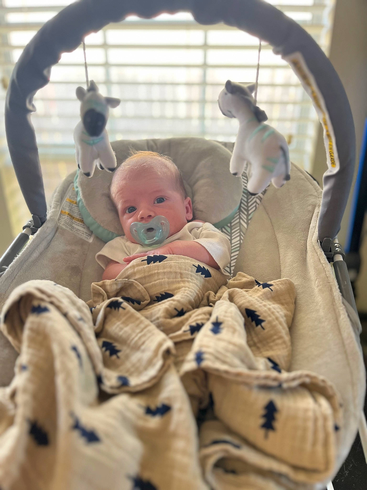 Jason is registered to the contest to win money with this photo: baby, baby_carriage, baby_products, baby_safety, baby_sleeping, baby_toddler_clothing, cheek, child, comfort, cradle, facial_expression, fun, happy, infant_bed, mammal, person, room, sitting, skin, toddler