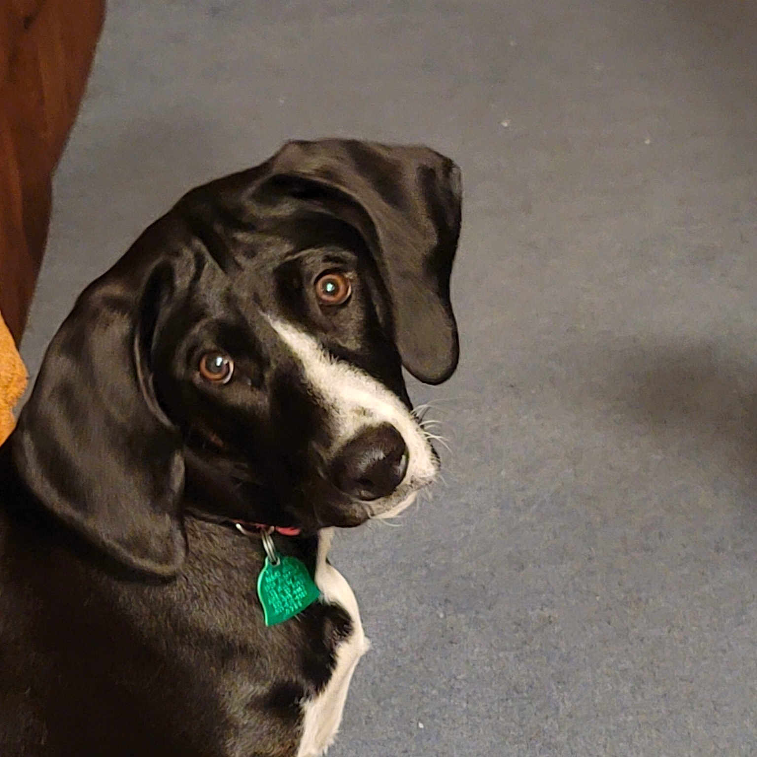 Maggie