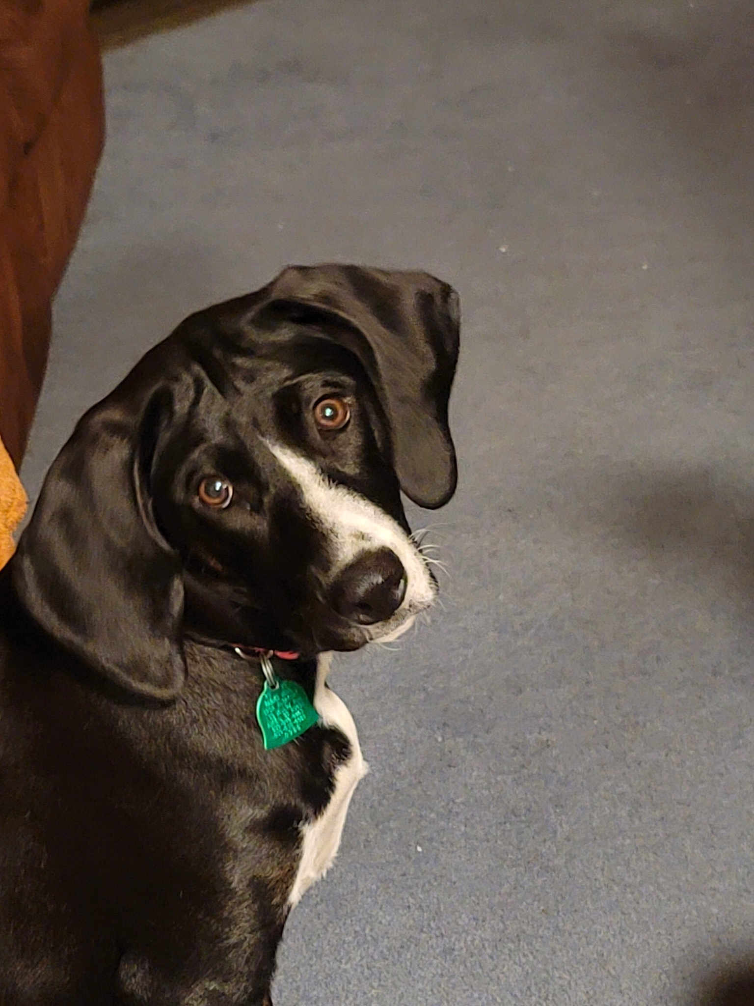 Maggie