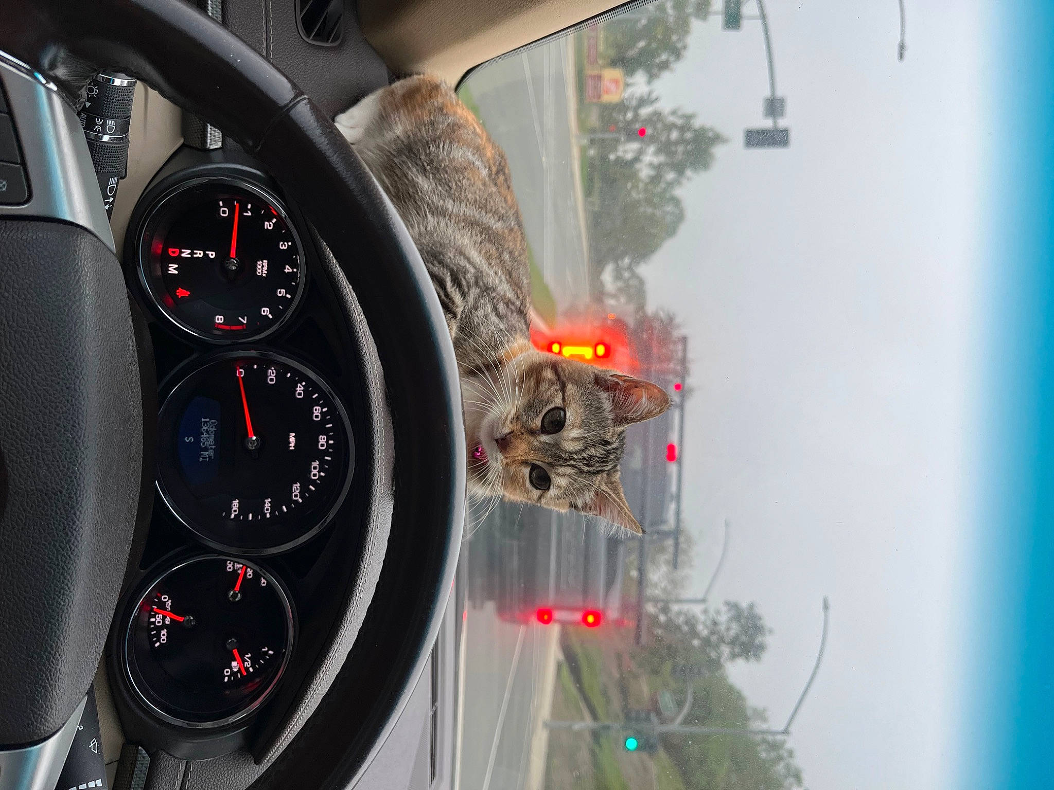 Disco joined the competition — help win amazing prizes! auto_part, automotive_design, automotive_lighting, automotive_mirror, automotive_tire, car, gauge, measuring_instrument, motor_vehicle, odometer, personal_luxury_car, plant, rim, sky, speedometer, steering_part, steering_wheel, tachometer, trip_computer, vehicle