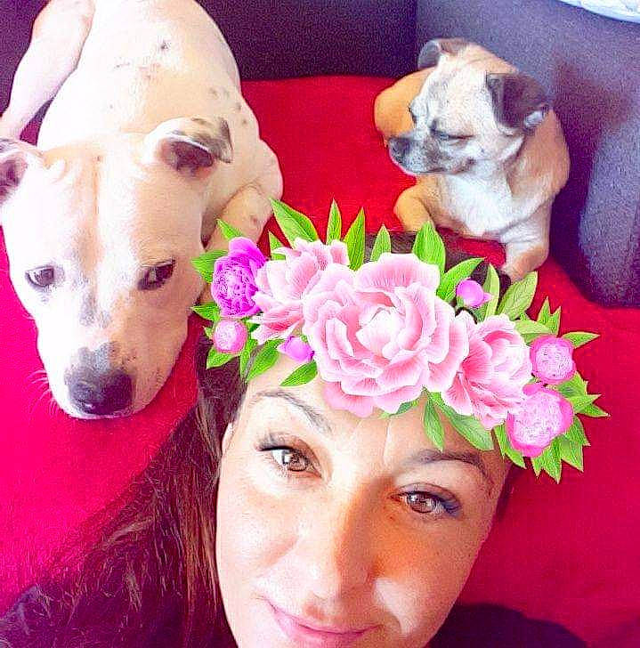 Maïko a rejoint le concours — aidez-le/la à gagner de superbes lots ! beauty, bouquet, carnivore, companion_dog, cut_flowers, dog, dog_breed, dog_supply, eyelash, fashion_accessory, fawn, flower, flower_arranging, happy, headpiece, magenta, petal, pink, plant, selfie