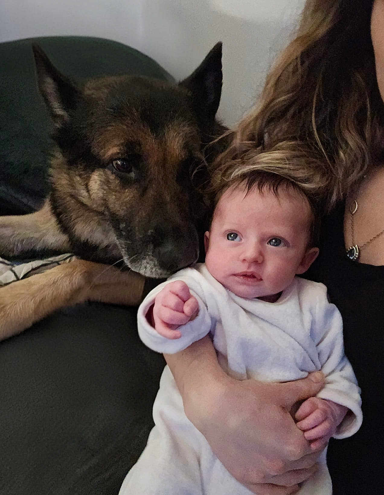 Keïssy participe au concours pour gagner de l'argent avec cette photo : baby, dog, person, couch, indoor, pet, closeup, face, fur, hand, clothing, human, animal, portrait, cute, companion, snuggle, expression, relaxation, bond