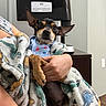 dog, blanket, person, indoor, small_dog, cozy, dinosaur_pattern, holding, pet, ears, brown, black, cute, comfort, fabric, furniture, relaxed, hand, puppy, home