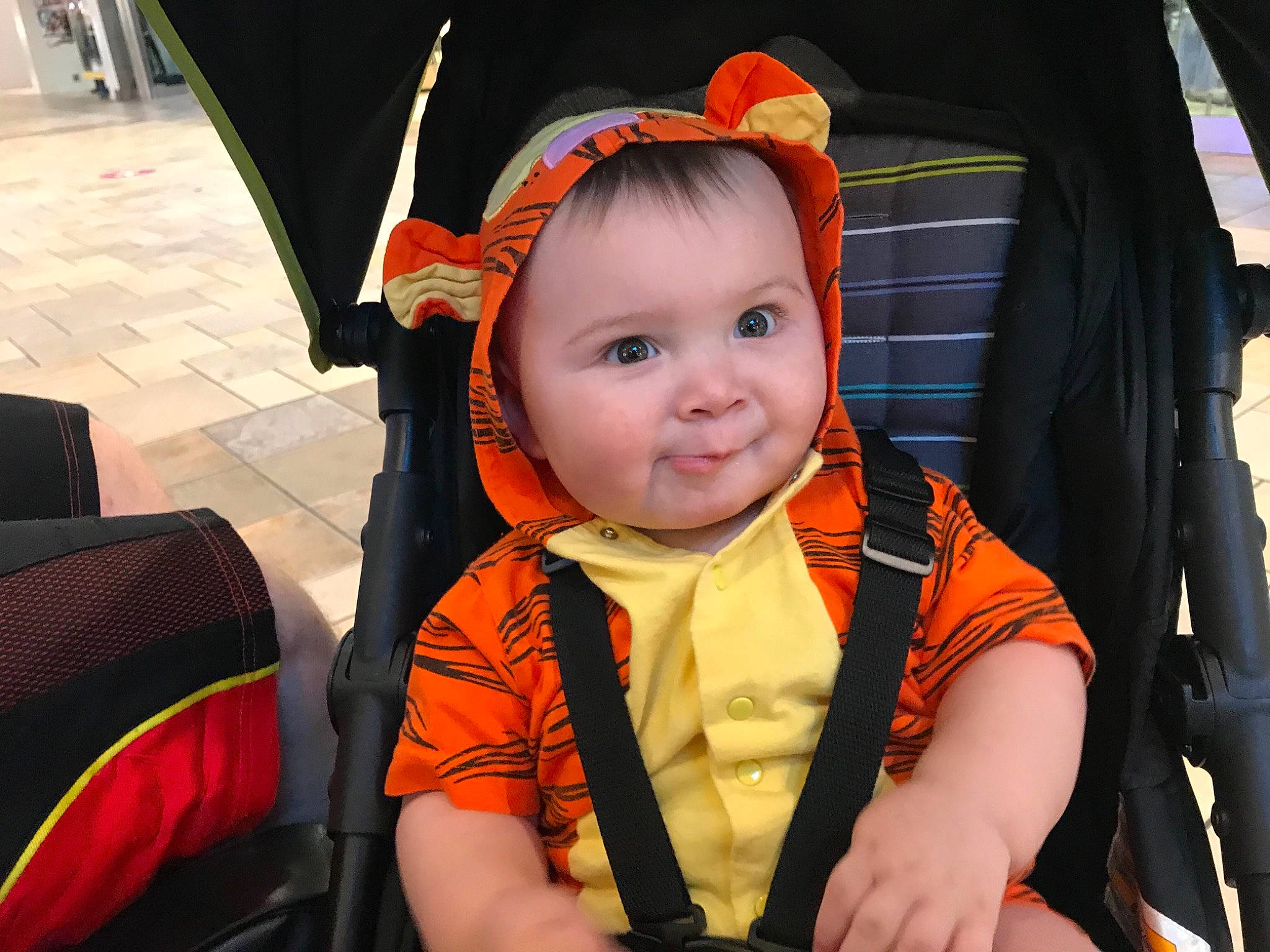 Dominic joined the competition — help win amazing prizes! auto_part, baby, baby_carriage, baby_products, baby_toddler_clothing, car_seat, child, fashion_accessory, fun, happy, headwear, lifejacket, orange, person, photograph, seat_belt, sitting, smile, snapshot, toddler