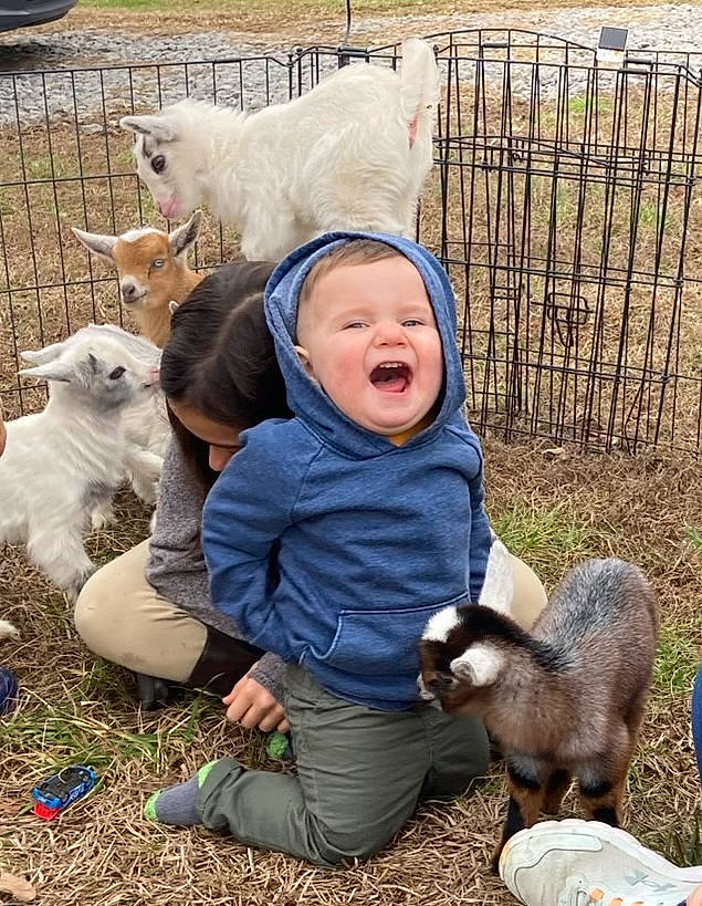 Stephen joined the competition — help win amazing prizes! baby, child, companion_dog, dog_breed, fawn, fence, fun, fur, grass, happy, hat, livestock, mammal, people_in_nature, person, photograph, sitting, smile, sporting_group, toddler